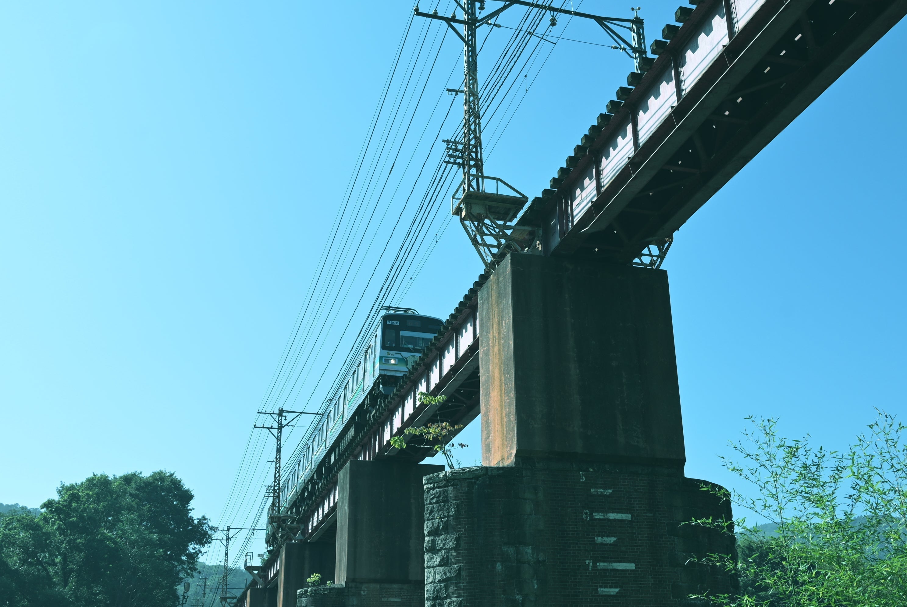 愛の架け橋