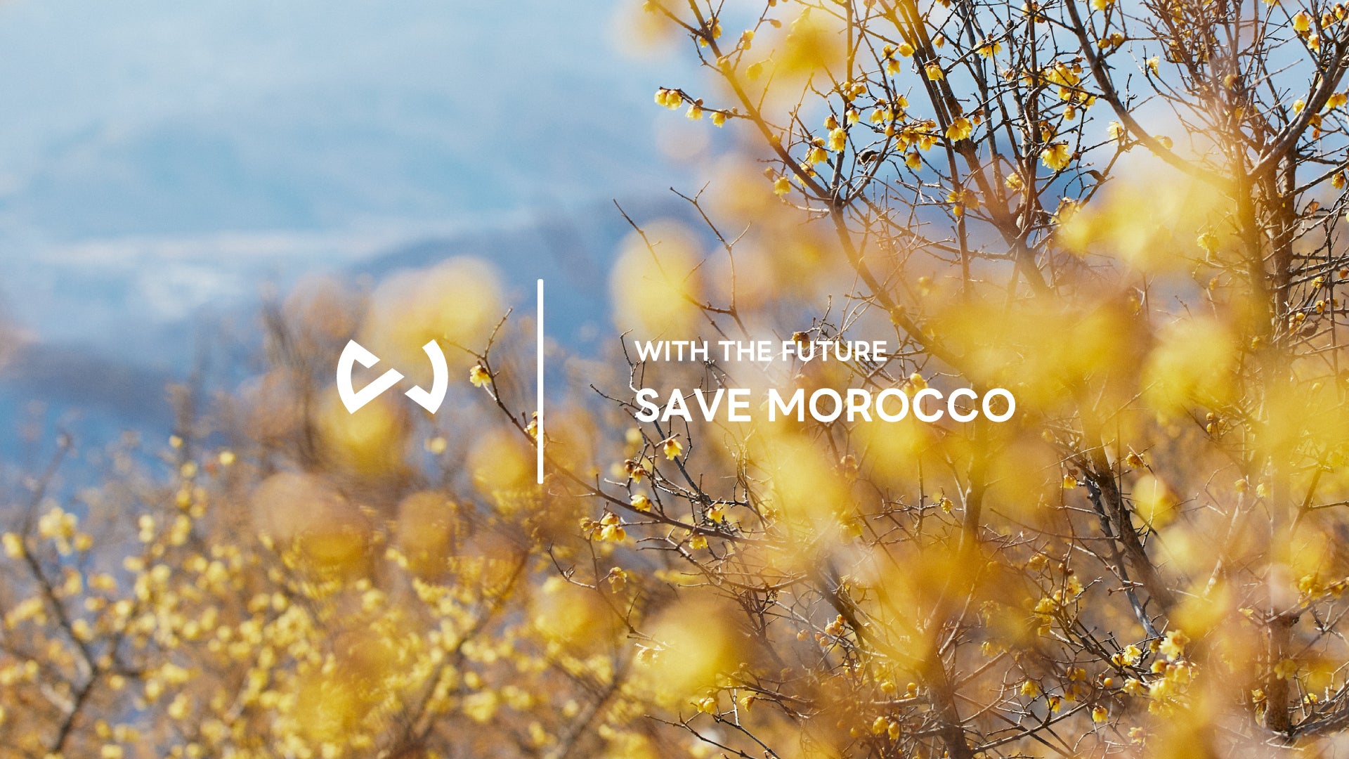【WITH THE FUTURE】　SAVE MOROCCO