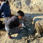 170万年前の地層に挑む｜入間本格化石ハンター体験（焚き火バージョン）