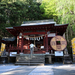 地球の物語を読み解く｜地質学発祥の地・和同黒谷化石探究ツアー
